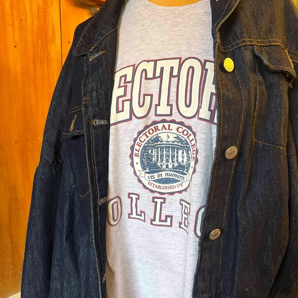Electoral College new gray statement tee